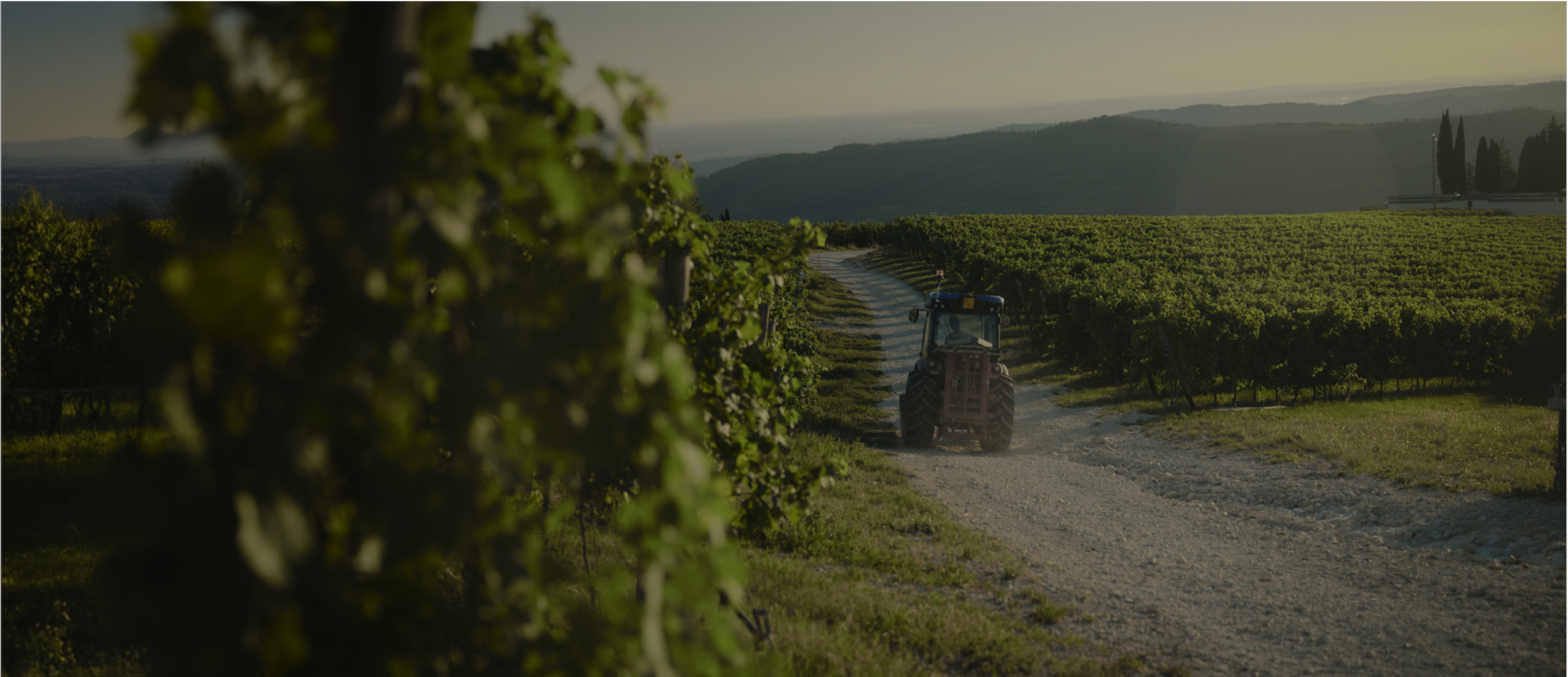 wineries-producers